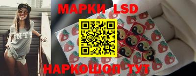 крисы Кулебаки