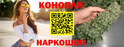 крисы Кулебаки