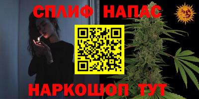 сатива Кунгур