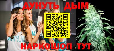 крисы Кулебаки