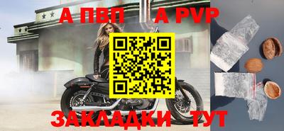 сатива Кунгур