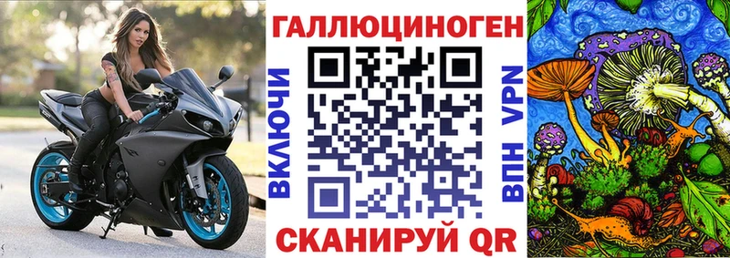 наркотики  Зеленогорск  Псилоцибиновые грибы мухоморы 